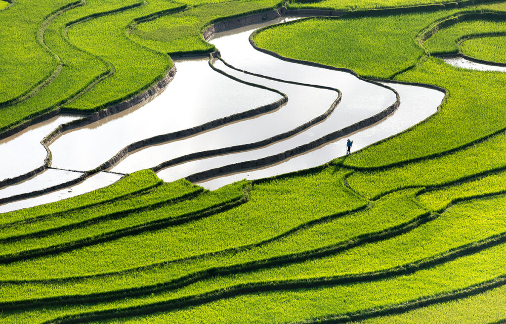 Terraced Himalayan landscape in Uttarakhand shaped by traditional water systems