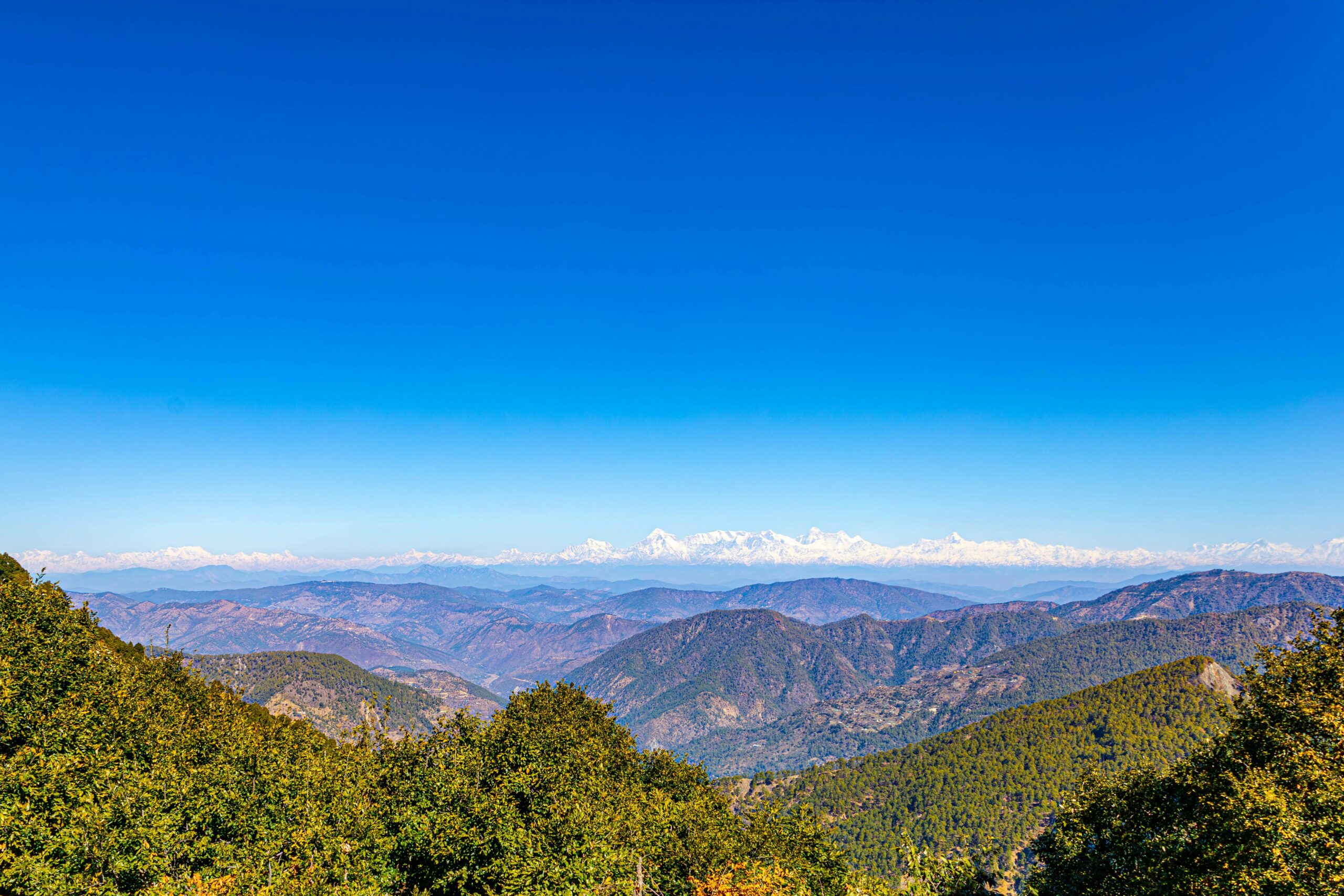 Scenic pine forest drive from Almora to Hartola in Kumaon