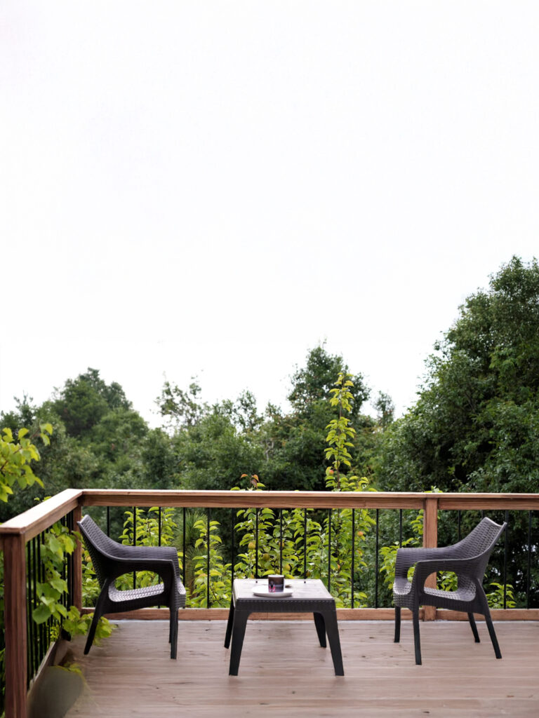 Morning tea with Himalayan mountain views in the Kumaon Hills